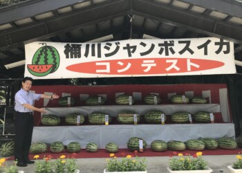 桶川ジャンボスイカコンテスト表彰式が開催されました。ジャンボスイカ愛好会会長樋口正一様を先頭に開催され,今回で16回目です。優勝したスイカは、56.48kgでした。